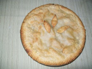 Yes, I baked a pie with the apples we picked! Solid proof my oven was used in the past year! 